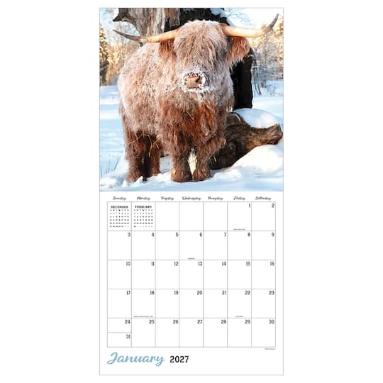 2027 Highland Cows Wall Calendar